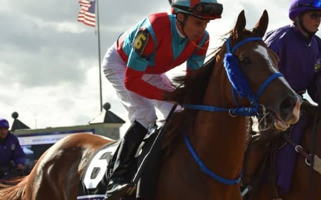 日本から米G1に挑んだ5歳牝馬 このまま引退しアメリカで繁殖入り