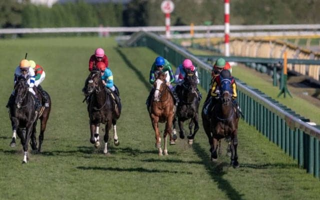 【百日草特別】良血キングズレインが連勝