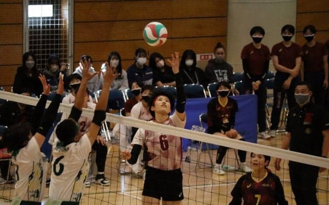 春高バレー千葉県大会決勝　女子はフルセットの死闘、敬愛学園優勝