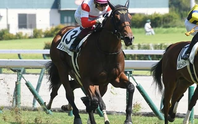 【デイリー杯2歳S見どころ】ダノンザキッドの半弟ダノンタッチダウンが中心