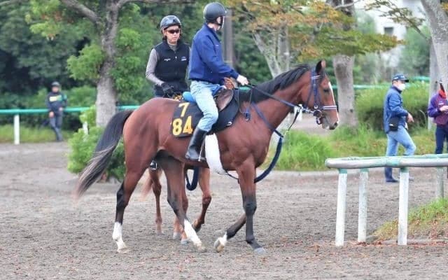 GII馬ヴァンドギャルドを兄に持つソールオリエンスが田辺裕信騎手でデビュー/関東馬メイクデビュー情報