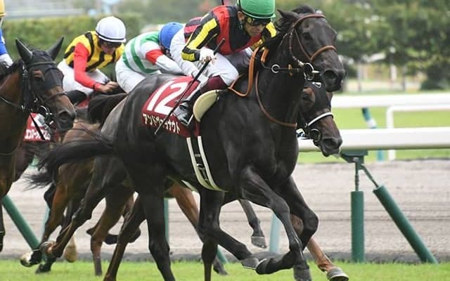 【AI予想・エリザベス女王杯】名手の好騎乗に期待大!? まさかのダークホースに白羽の矢