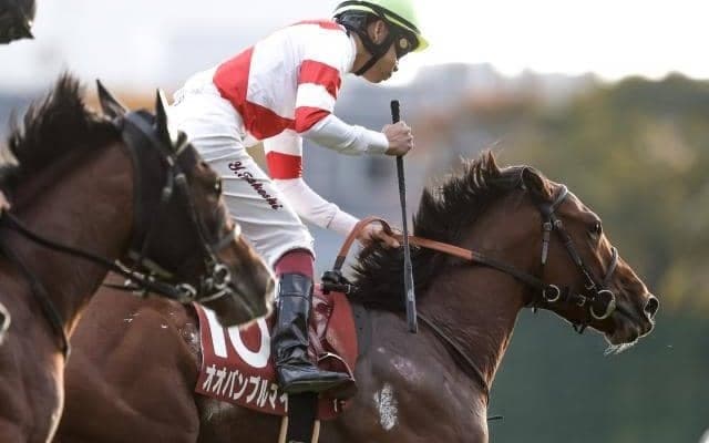 ダート向きのディスクリートキャット産駒 デビュー2連勝で重賞制覇