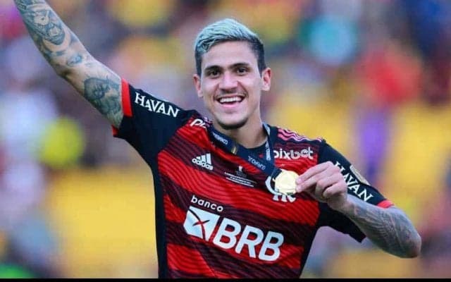 ブラジル代表FWがW杯メンバーに選ばれた直後にプロポーズ！一方でフィルミノらは落選