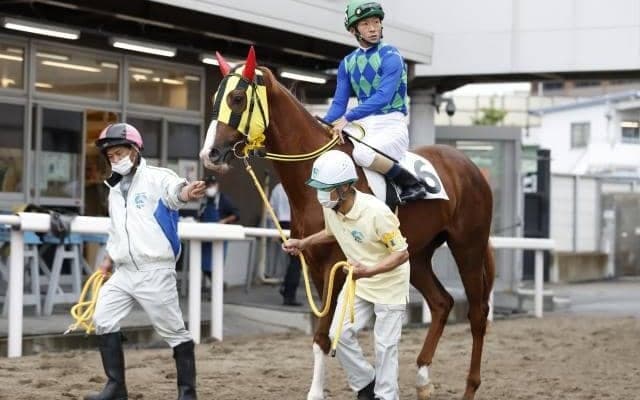 過去10年で1番人気は僅か2勝 波乱含みな2歳牝馬重賞/川崎・ローレル賞注目馬