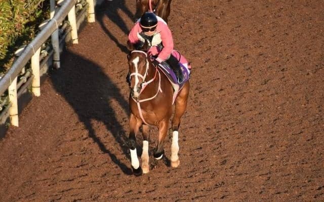 レシステンシアなど、先週の入厩情報/栗東トレセンニュース