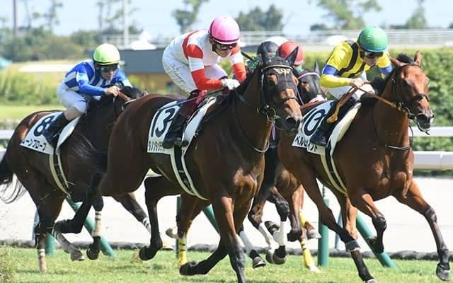 【デイリー杯2歳S想定騎手】ダノンタッチダウンは川田将雅騎手、シルヴァーデュークはC.デムーロ騎手
