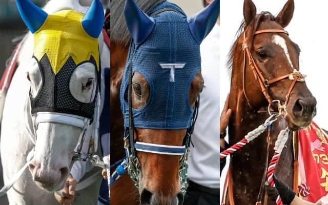 【マイルCS】登録馬のレーティングが発表、1位はソダシ シュネルマイスター、サリオスが続く