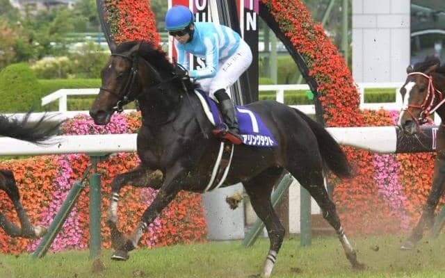 【エリザベス女王杯予想オッズ】デアリングタクトが予想1番人気