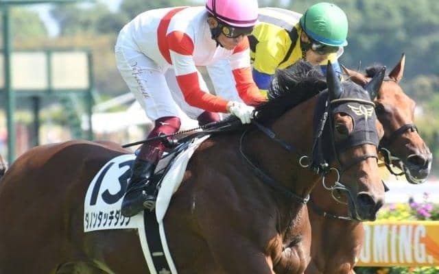 【デイリー杯2歳S予想オッズ】ダノンタッチダウンが予想1番人気