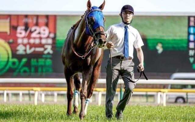 【武蔵野S予想オッズ】レモンポップが予想1番人気