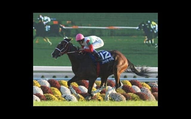 ウマ娘では世界的なお嬢様。武豊も「幸せ」と感じたファインモーションとの出会いと圧倒的な走り