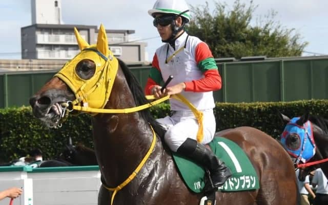 全頭ごぼう抜きで重賞制覇も 期待の2歳馬に全治半年の骨折が判明