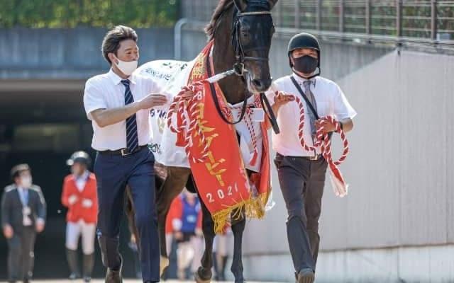シャフリヤール、ユーバーレーベンなど ジャパンカップに登録を予定している日本馬の一覧