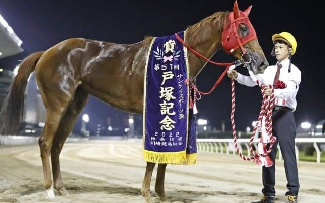 名牝ロジータの再来なるか 重賞7勝目に挑む/川崎・ロジータ記念注目馬