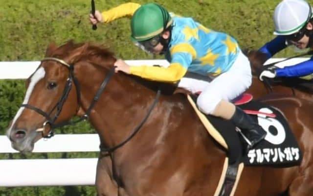 13年関東オークス馬の仔が全日本2歳優駿に参戦予定