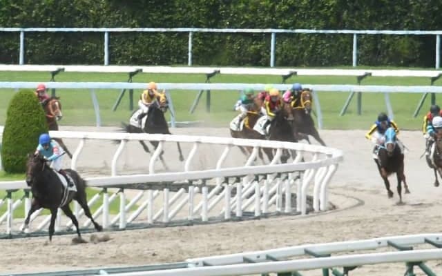 新馬戦4.3秒差圧勝の『怪物』候補が26日東京で連勝へ 初陣の2着馬はJpnIII覇者ゴライコウ