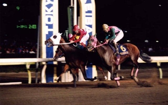 名馬 コンサートボーイ 30歳で死す