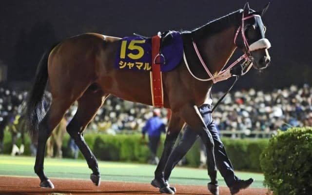 ダート短距離重賞3勝馬がチャンピオンズC参戦 ダート1800mは初挑戦に