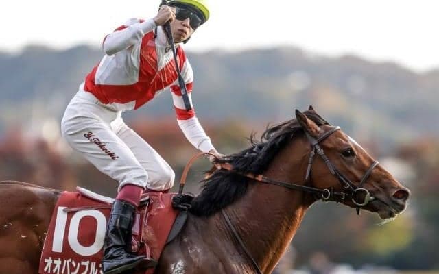 京王杯2歳S波乱の使者オオバンブルマイ 朝日杯FSでGI獲りへ