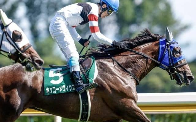 【京都ジャンプS出走馬・騎手確定】ホッコーメヴィウス＆黒岩悠騎手、ヴァーダイト＆小牧加矢太騎手など13頭