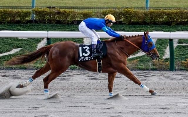 【武蔵野S出走馬・騎手確定】レモンポップ＆戸崎圭太騎手、タガノビューティー＆石橋脩騎手など16頭