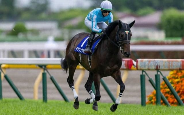 【エリザベス女王杯】出走馬の調教後の馬体重