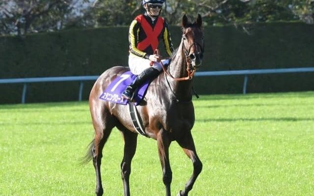 【エリザベス女王杯枠順確定】デアリングタクトは2枠4番、スタニングローズは5枠10番