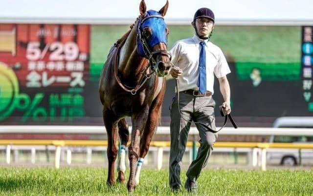 【武蔵野S枠順確定】レモンポップは4枠7番、タガノビューティーは5枠9番