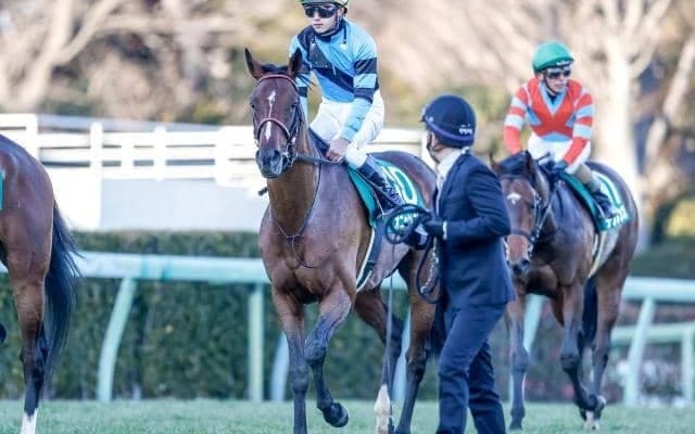 【福島記念枠順確定】オニャンコポンは6枠12番、アラタは1枠1番