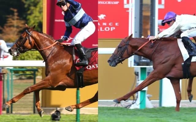 ジャパンカップの招待を受諾した海外馬6頭のプロフィールおよび来日スケジュール