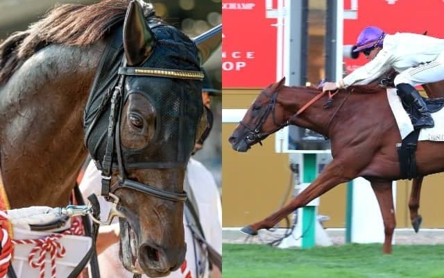 海外から強豪馬6頭が参戦予定 日本ダービー馬シャフリヤールなどジャパンカップ出走想定馬17頭