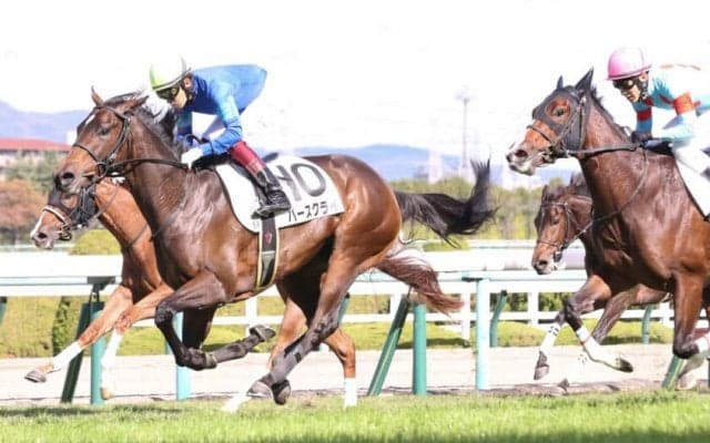 【新馬/阪神6R】ハーツクライ産駒 バースクライがデビューV