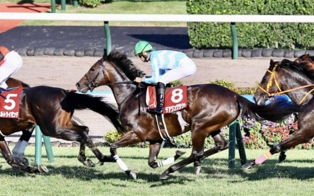 【エリザベス女王杯】デアリングタクトは2枠4番へ