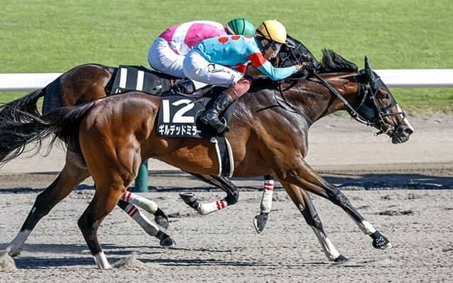 【武蔵野S予想】天下のノーザンファームに鬼門!? 同コース好走も条件悪化か？