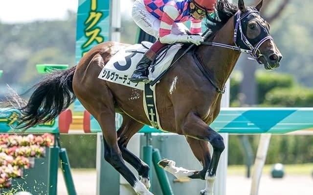 【デイリー杯2歳S予想】昨年はスタニングローズが5着敗退。前走着順が結果に影響？