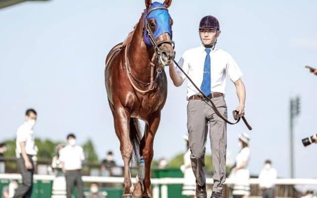 【今日の注目ポイント】阪神でデイリー杯2歳S、東京では武蔵野S　ムーア騎手ら来日など