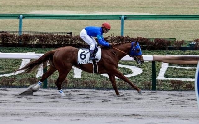 【武蔵野S予想】東京コース無敗の注目馬が出走 チャンピオンズCの前哨戦