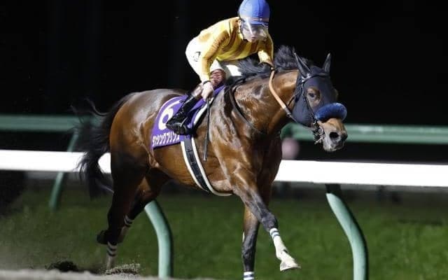 ダンシングプリンスは年内休養 宮田師「来年のサウジやドバイが候補」