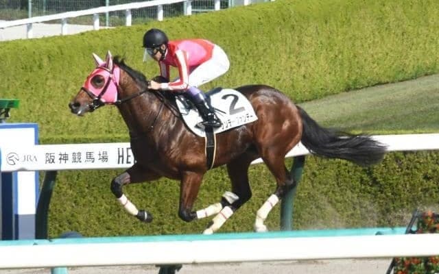 【阪神4R新馬戦結果】武豊騎手騎乗サンデーファンデーが逃げ切りV
