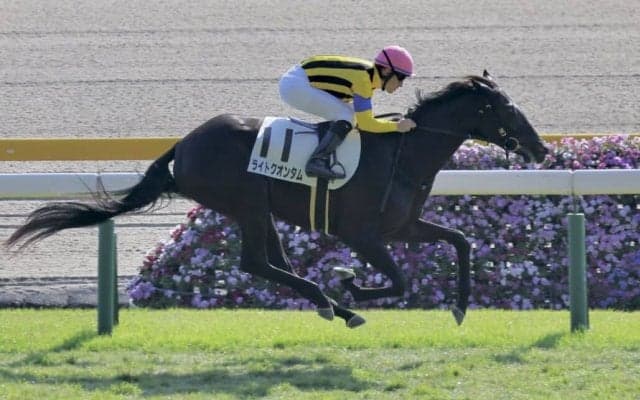 【新馬/東京5R】ディープ最終世代 ライトクオンタムがデビューV