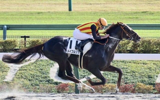 【東京7R】ムーア騎乗 メイプルリッジが7馬身差圧勝