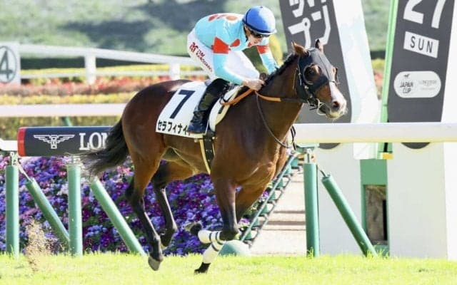 【東京6R】マーカンド騎乗 セラフィナイトが差し切る