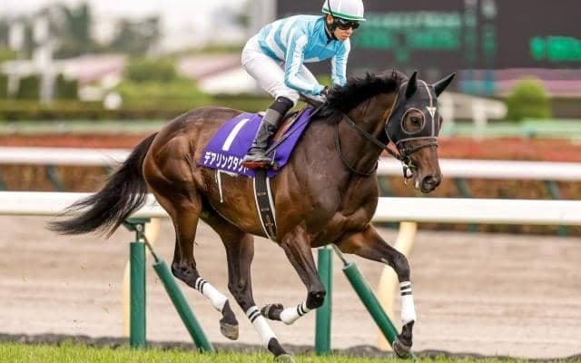 【今日の注目ポイント】阪神でGIエリザベス女王杯、ハンデGIIIの福島記念