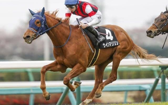 【エリザベス女王杯予想】今年も豪華メンバーが集結 古馬勢がやや優勢か