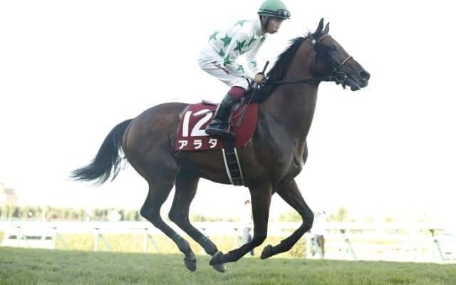 【福島記念予想】強力な先行馬が多数出走 機動性の高さが鍵