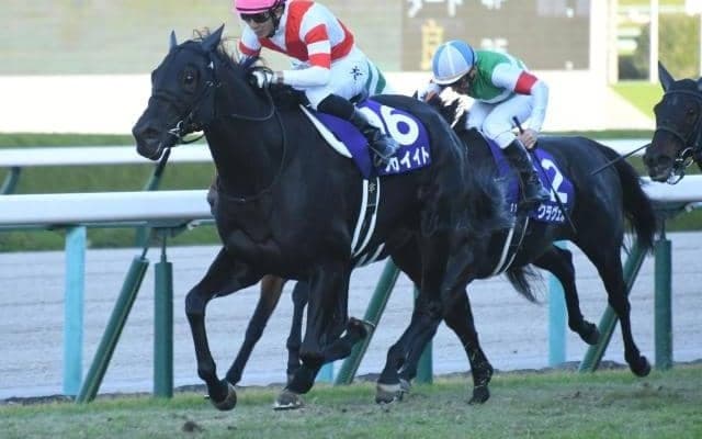 【エリザベス女王杯予想】狙うなら3番人気＆前走府中牝馬S組？ 再好走傾向強いコースで見逃せない穴馬は？