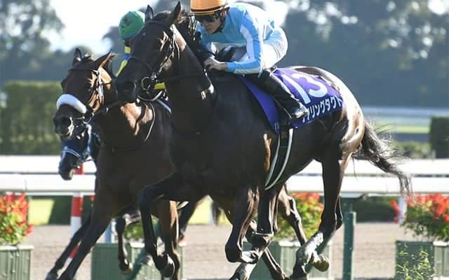 【エリザベス女王杯・馬体重】デアリングタクトは486kg(+2)、スタニングローズは488kg(0)