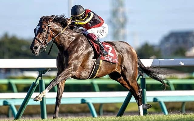 【エリザベス女王杯】ジェンティルドンナの仔ジェラルディーナが差し切ってGI初制覇