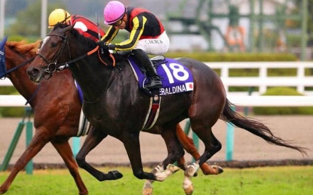 【エリザベス女王杯】ジェンティルドンナの仔、ジェラルディーナがG1初制覇！2着は同着